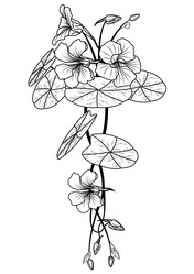 Similar image 1209516