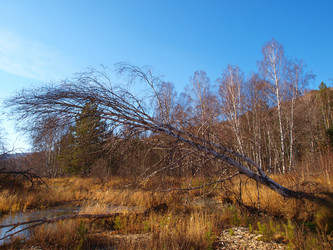 Similar image 1209532