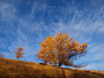 Similar image 1209533