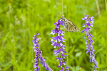 Similar image 1209534