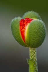 Similar image 1209571