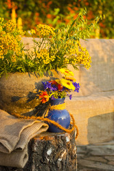 Similar image 1209573