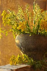 Similar image 1209574