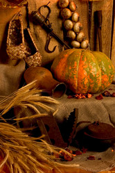 Similar image 1209577