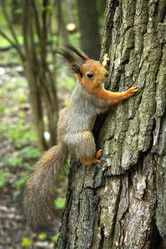 Similar image 1209590