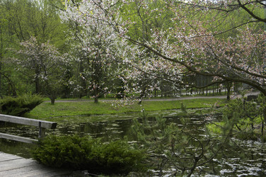 Similar image 1209593