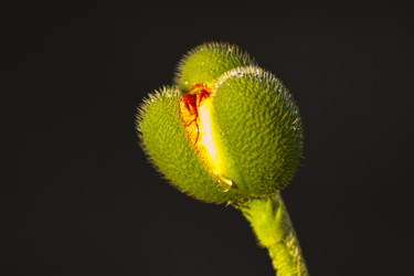 Similar image 1209598