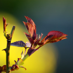 Similar image 1209599