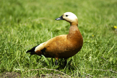 Similar image 1209601