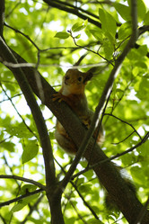 Similar image 1209603