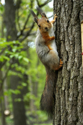 Similar image 1209604