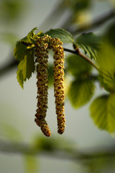 Similar image 1209605