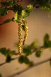 Similar image 1209606