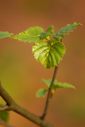 Similar image 1209607