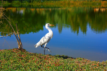 Similar image 1209650