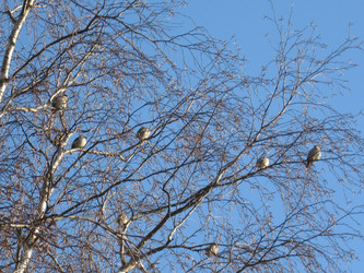 Similar image 1209653