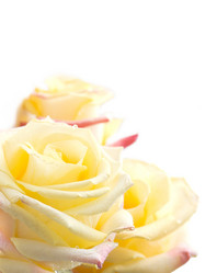 Similar image 1209671