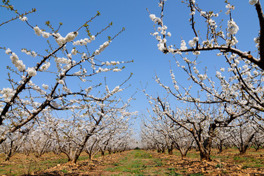 Similar image 1209674