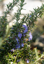 Similar image 1209679