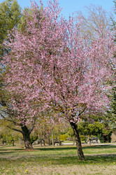 Similar image 1209680