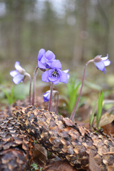 Similar image 1209711