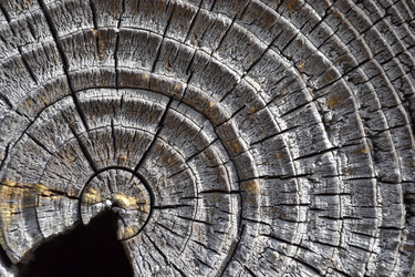 Similar image 1209716