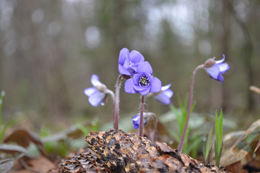 Similar image 1209718