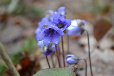 Similar image 1209719