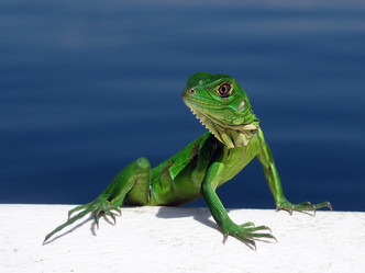 Similar image 1209746