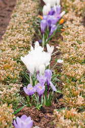 Similar image 1209755