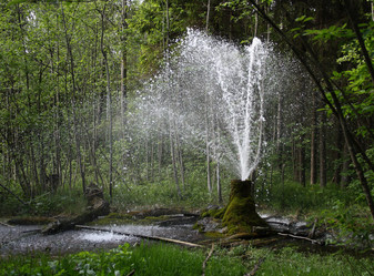 Similar image 1209767