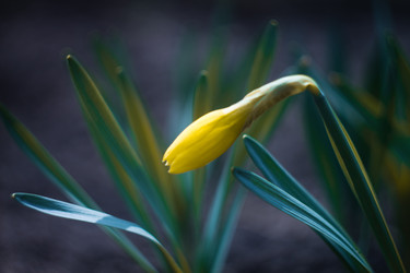 Similar image 1209787