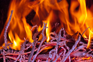 Similar image 1209860