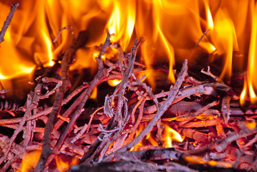 Similar image 1209861