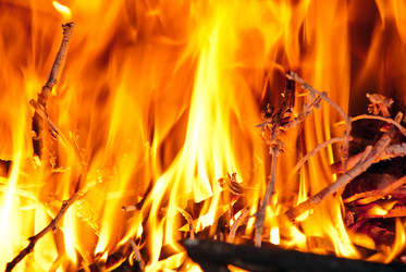 Similar image 1209862