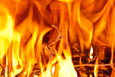 Similar image 1209863