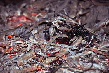 Similar image 1209864