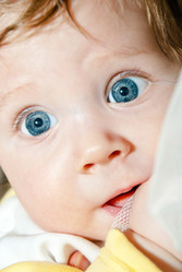 Similar image 1209868