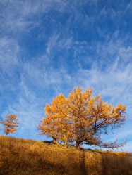 Similar image 1209914