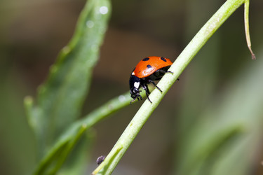 Similar image 1209935