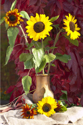 Similar image 1209938