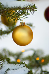 Similar image 1209940