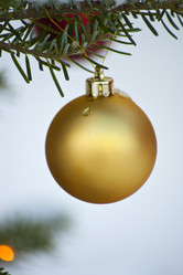 Similar image 1209941