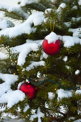 Similar image 1209942