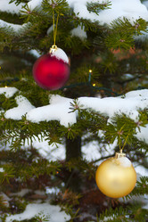 Similar image 1209943