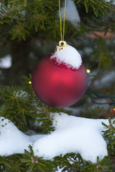 Similar image 1209944