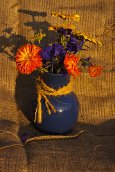 Similar image 1209947