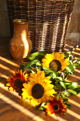 Similar image 1209949