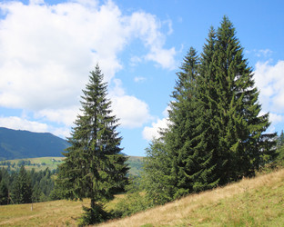 Similar image 1210003