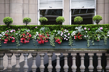 Similar image 1210006